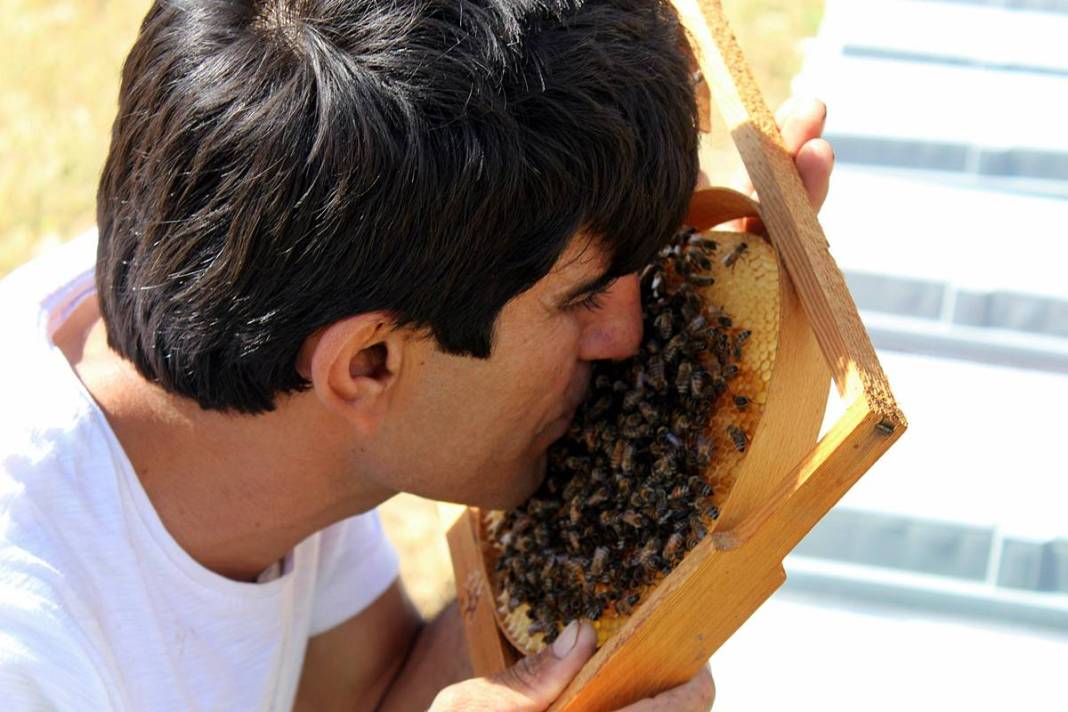 Arılarla dans eden adam: Kovanların yeni süper kahramanı! Bal gibi insan, arıların yakın dostu 9